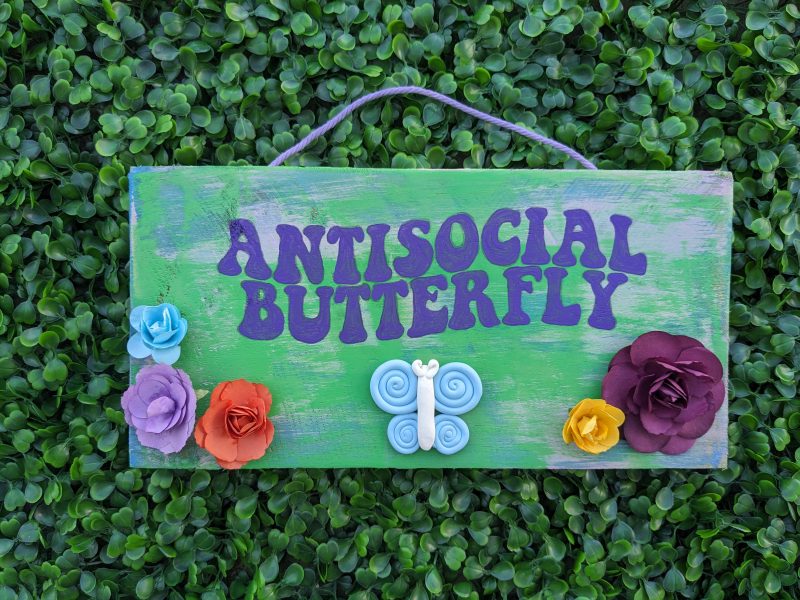 Craft titled: Antisocial Butterfly