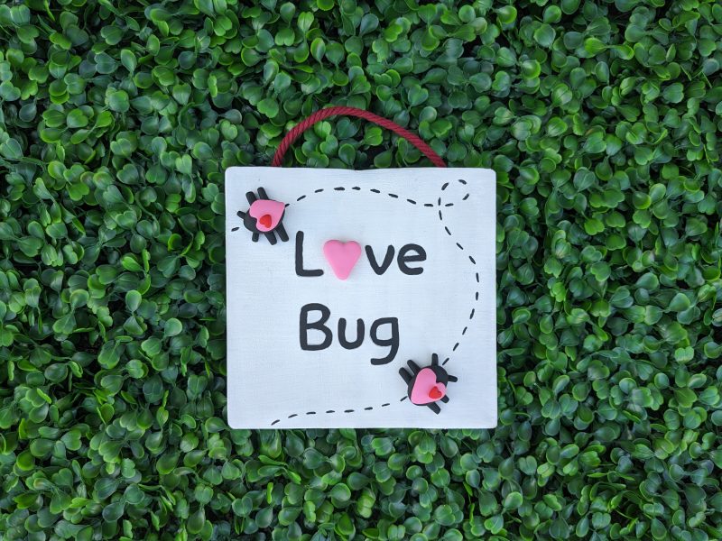 Craft titled: Love Bug