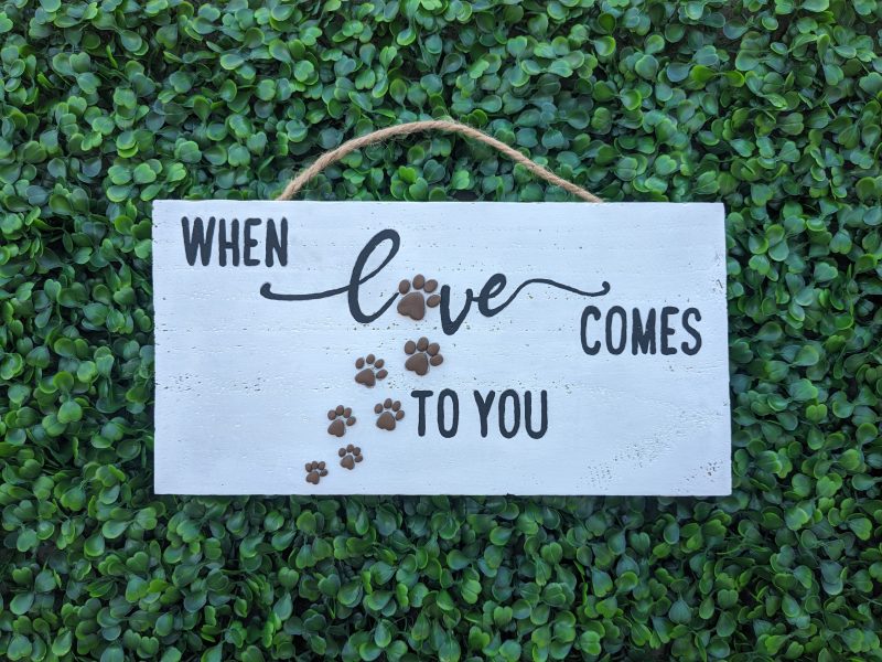 Craft titled: When Love Comes To You 🐾